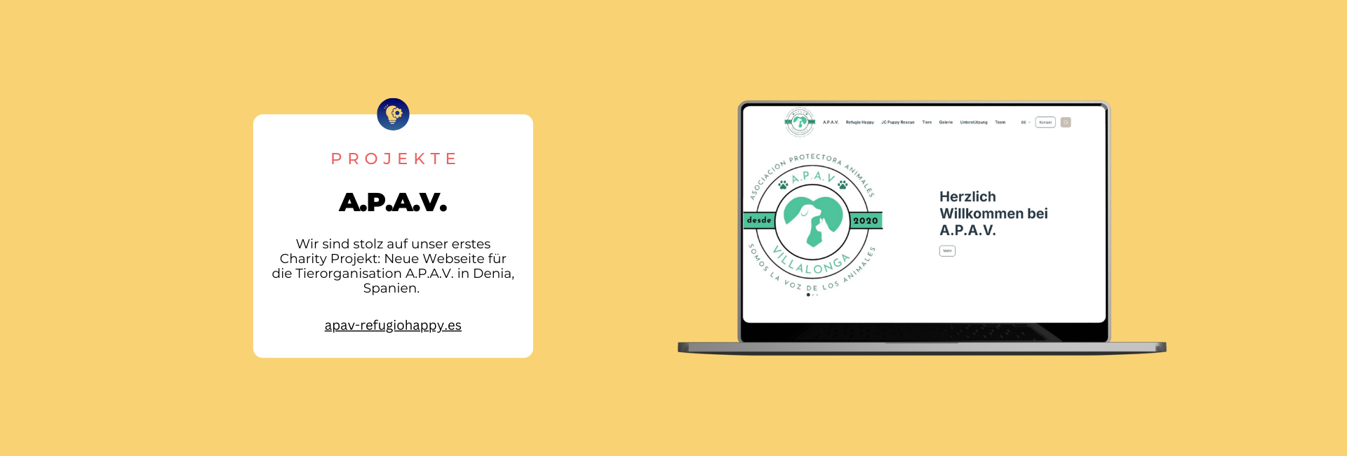 New Website for A.P.A.V. 